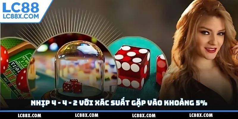 Nhịp 4 - 4 - 2 với xác suất gặp vào khoảng 5%